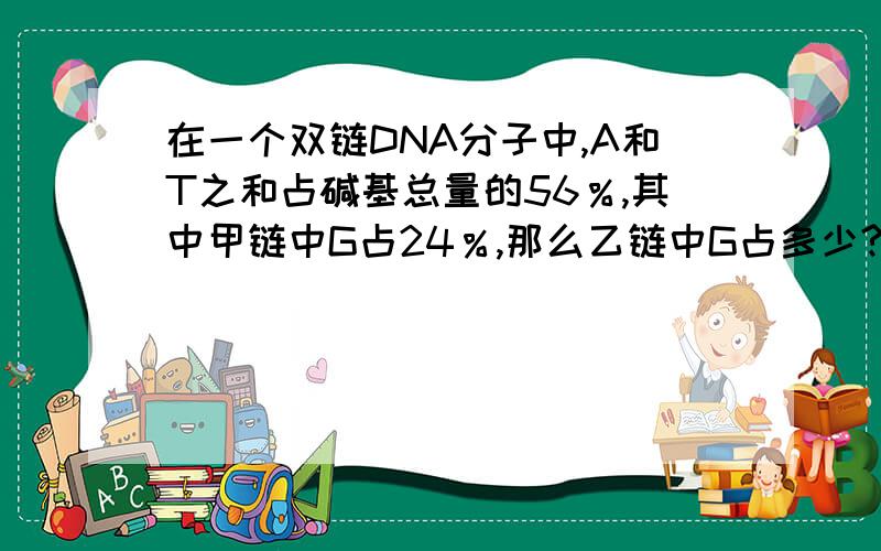 在一个双链DNA分子中,A和T之和占碱基总量的56％,其中甲链中G占24％,那么乙链中G占多少?求具体解题过程及分析