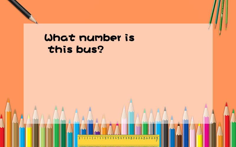 What number is this bus?