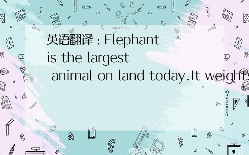 英语翻译：Elephant is the largest animal on land today.It weights some ninety kilograms and is about one metre high when born.When it is 12 years old,it studs over three meters and does not grow any more.Elephant is usually grey in color,having