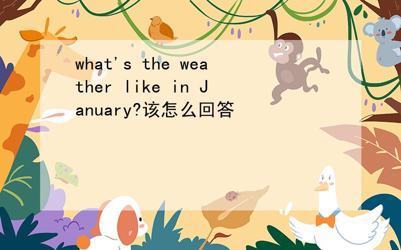 what's the weather like in January?该怎么回答