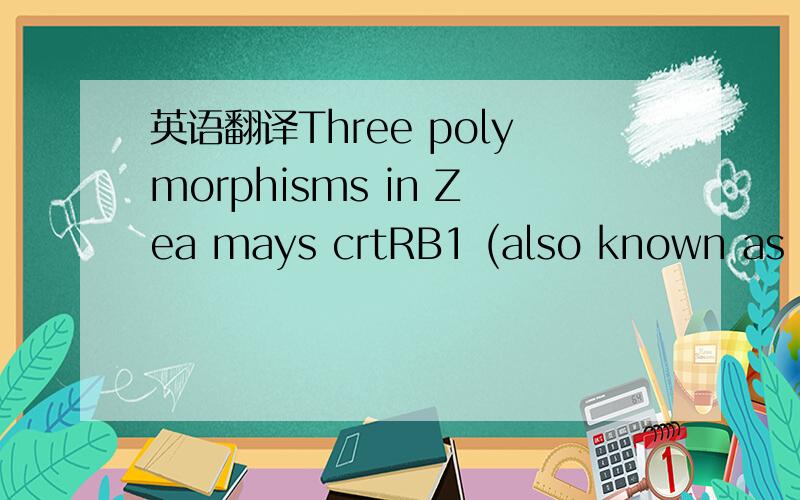英语翻译Three polymorphisms in Zea mays crtRB1 (also known as HYD3) were significantly associated with carotenoid variation in association panel P1 (Table 1),identified as 5′TE,InDel4,and 3′TE.这里的association panel