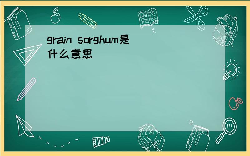grain sorghum是什么意思