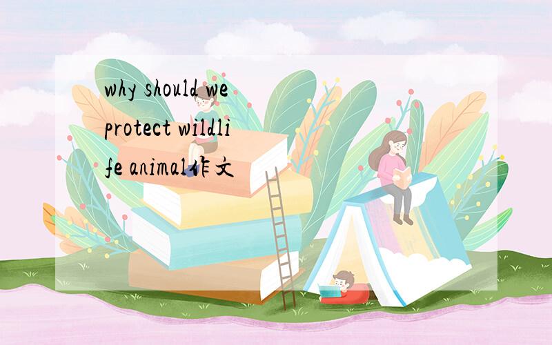 why should we protect wildlife animal作文