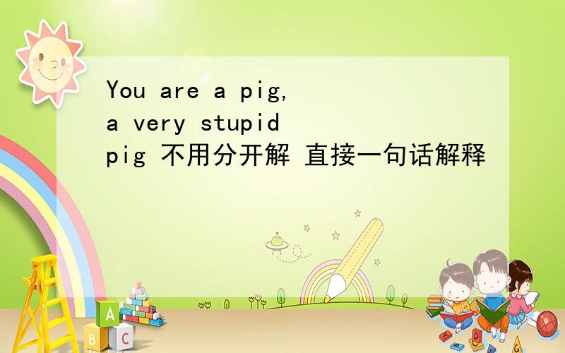 You are a pig,a very stupid pig 不用分开解 直接一句话解释