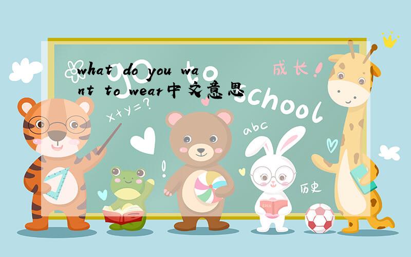 what do you want to wear中文意思