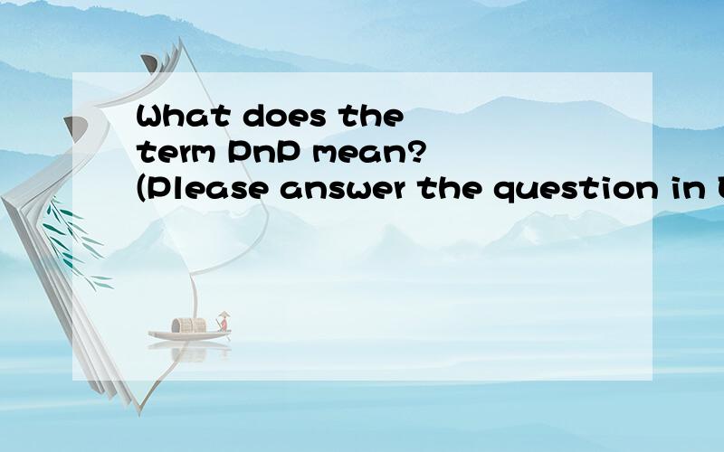 What does the term PnP mean?(Please answer the question in English.Thank you!)