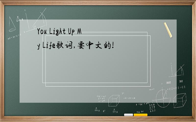 You Light Up My Life歌词,要中文的!