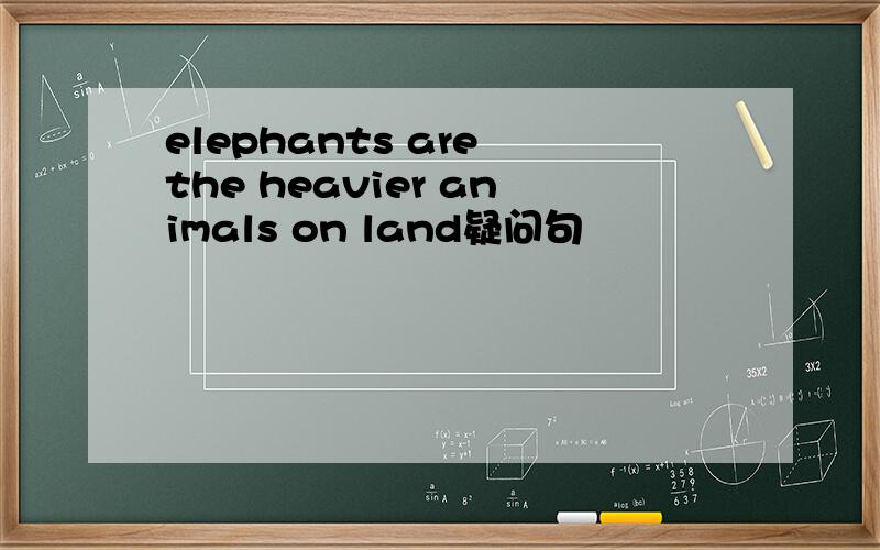 elephants are the heavier animals on land疑问句
