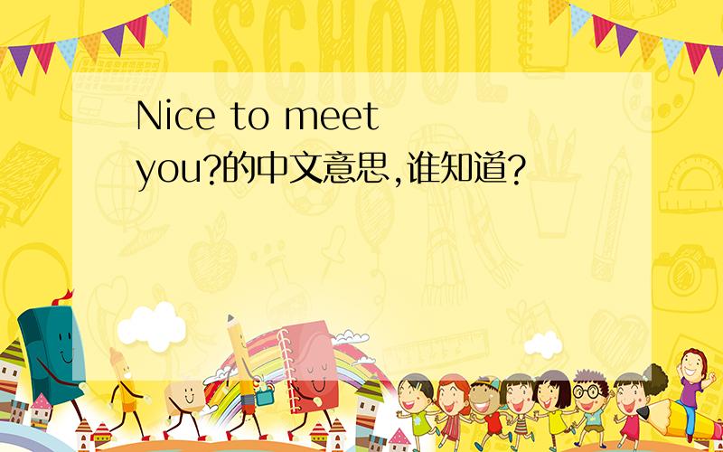 Nice to meet  you?的中文意思,谁知道?