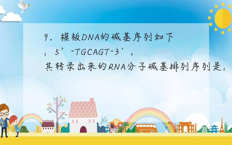 9．模板DNA的碱基序列如下：5’-TGCAGT-3’,其转录出来的RNA分子碱基排列序列是：（1分） A．5’-ACGTCA-3’ B．5’-ACGUCA-3’ C．5’-ACUGCA-3’ D．5’-ACTGCA-3’