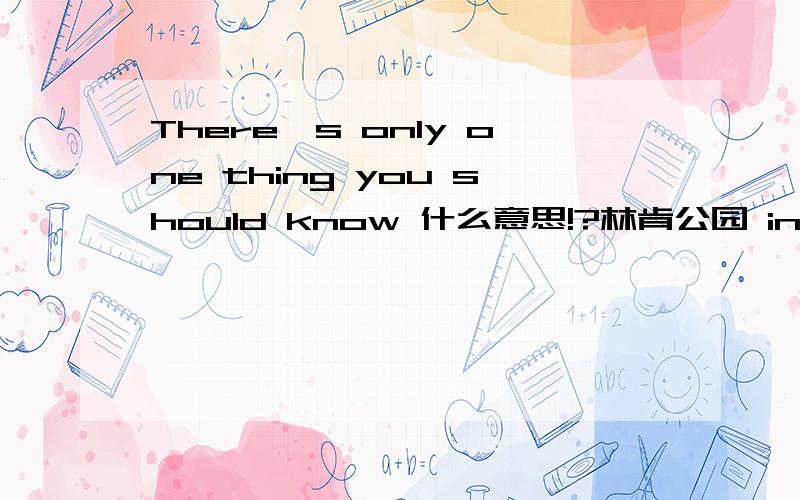 There's only one thing you should know 什么意思!?林肯公园 in the end 里的歌词 帮我翻译下/