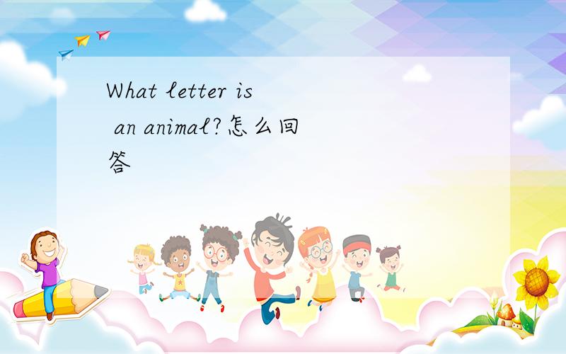 What letter is an animal?怎么回答