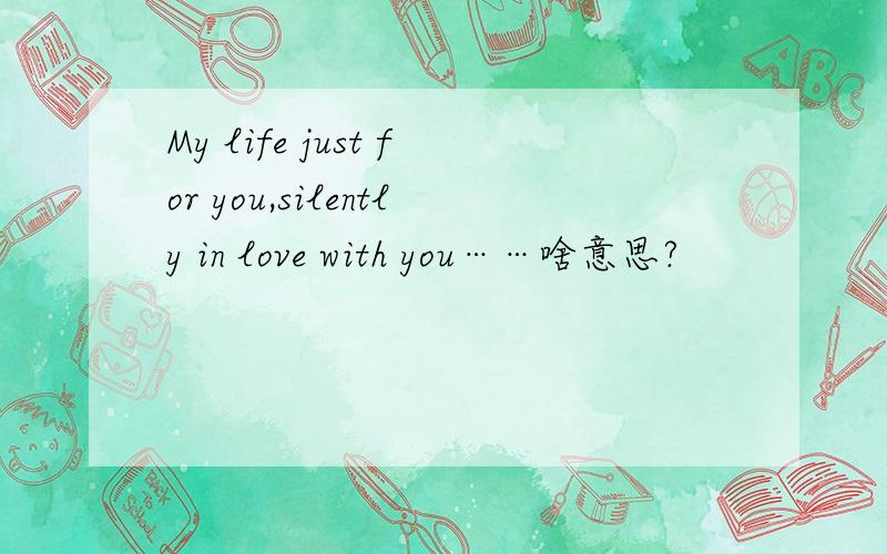 My life just for you,silently in love with you……啥意思?