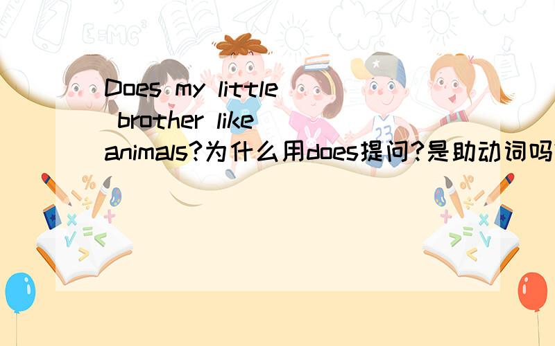 Does my little brother like animals?为什么用does提问?是助动词吗?do我的意思是，为什么用do，不用what什么的？直接my little brother like animals?