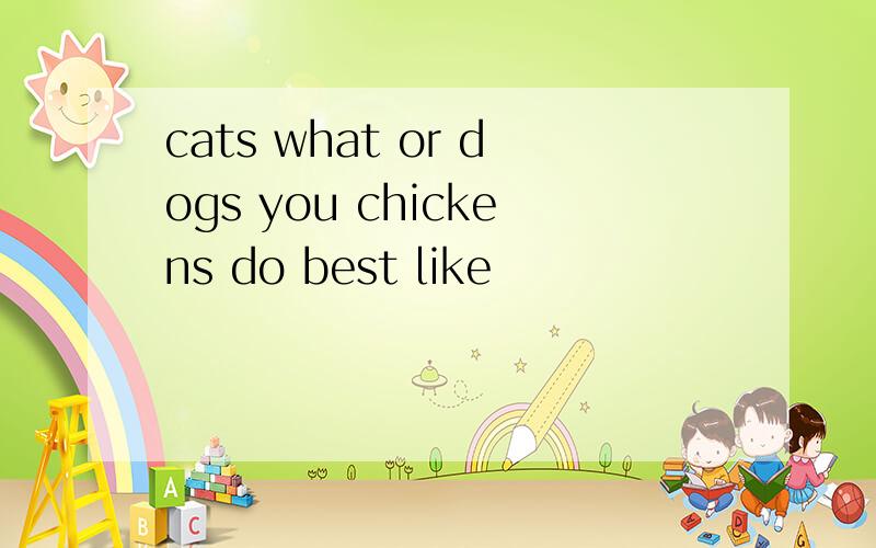 cats what or dogs you chickens do best like