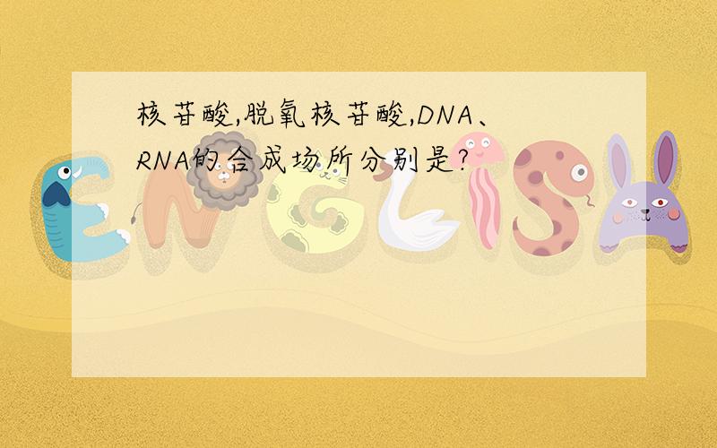 核苷酸,脱氧核苷酸,DNA、RNA的合成场所分别是?