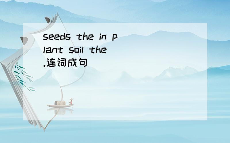 seeds the in plant soil the .连词成句
