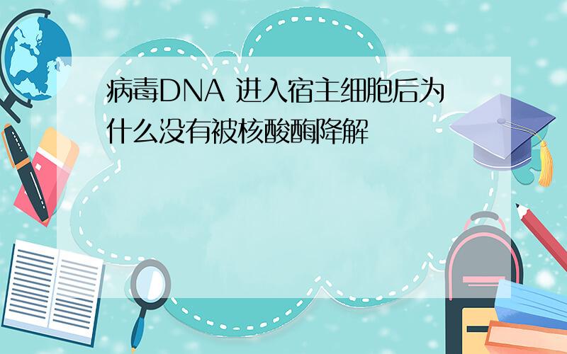 病毒DNA 进入宿主细胞后为什么没有被核酸酶降解