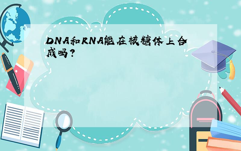 DNA和RNA能在核糖体上合成吗?