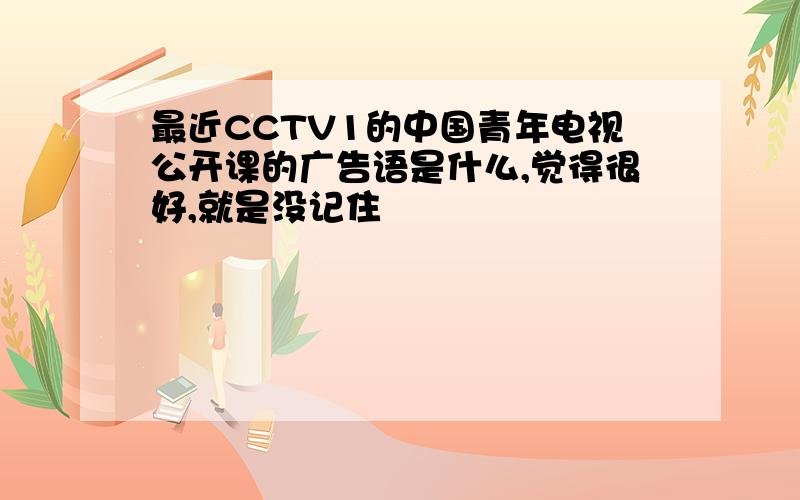 最近CCTV1的中国青年电视公开课的广告语是什么,觉得很好,就是没记住