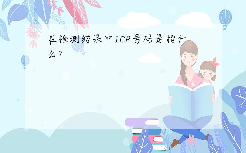 在检测结果中ICP号码是指什么?