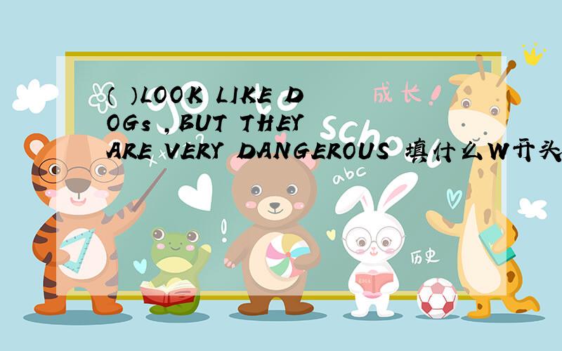 （ ）LOOK LIKE DOGs ,BUT THEY ARE VERY DANGEROUS 填什么W开头的