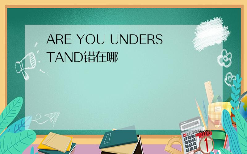 ARE YOU UNDERSTAND错在哪