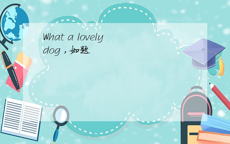 What a lovely dog ,如题