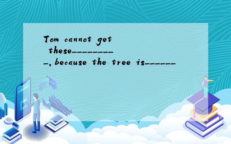 Tom cannot get these_________,because the tree is______
