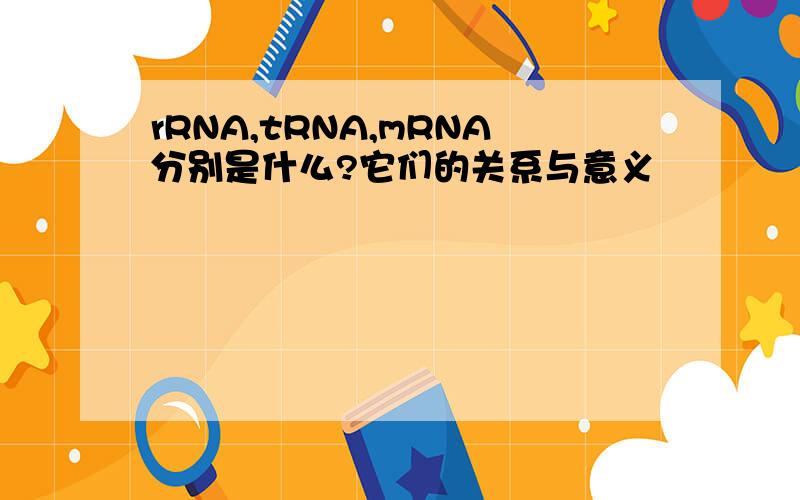 rRNA,tRNA,mRNA分别是什么?它们的关系与意义