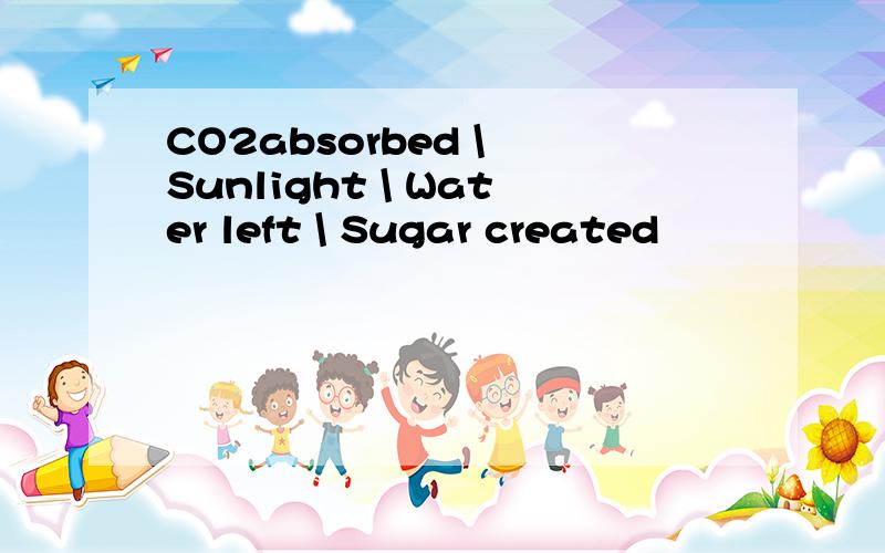 CO2absorbed \ Sunlight \ Water left \ Sugar created
