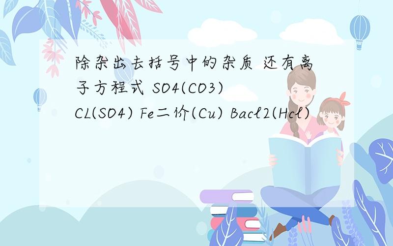 除杂出去括号中的杂质 还有离子方程式 SO4(CO3) CL(SO4) Fe二价(Cu) Bacl2(Hcl)