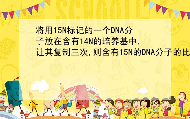 将用15N标记的一个DNA分子放在含有14N的培养基中,让其复制三次,则含有15N的DNA分子的比例的比例以及含有15N的脱氧核苷酸占全部DNA单链的比例依次是多少?