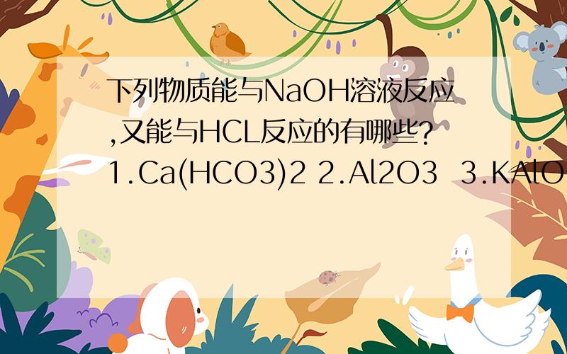 下列物质能与NaOH溶液反应,又能与HCL反应的有哪些?1.Ca(HCO3)2 2.Al2O3  3.KAlO2 4.C6H5OH 5.Al  6.(NH4)2CO3  7.NaHCO3