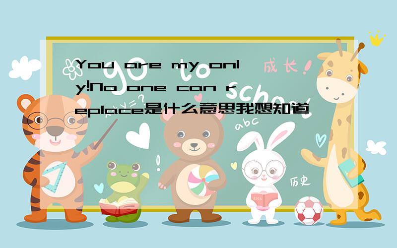 You are my only!No one can replace是什么意思我想知道