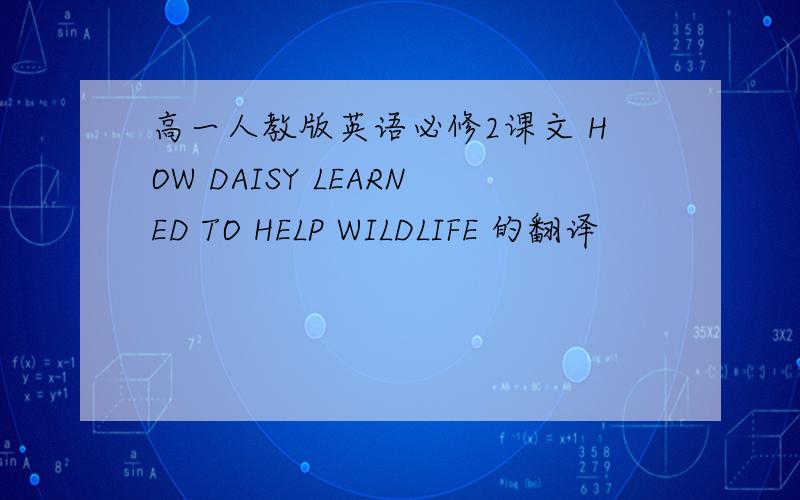 高一人教版英语必修2课文 HOW DAISY LEARNED TO HELP WILDLIFE 的翻译