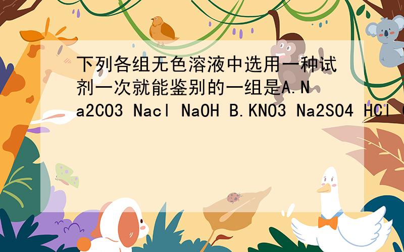 下列各组无色溶液中选用一种试剂一次就能鉴别的一组是A.Na2CO3 Nacl NaOH B.KNO3 Na2SO4 HCl C.AgNO3 NA2CO3 NaCl D.Ca(OH)2 NaOH NaCl 说明理由