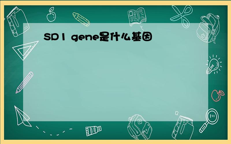 SD1 gene是什么基因