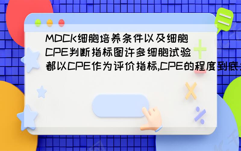 MDCK细胞培养条件以及细胞CPE判断指标图许多细胞试验都以CPE作为评价指标,CPE的程度到底怎么判断,最好有图表述