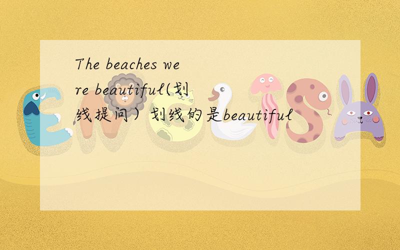 The beaches were beautiful(划线提问）划线的是beautiful