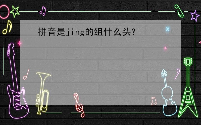 拼音是jing的组什么头?