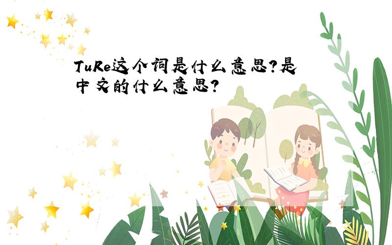 TuRe这个词是什么意思?是中文的什么意思?