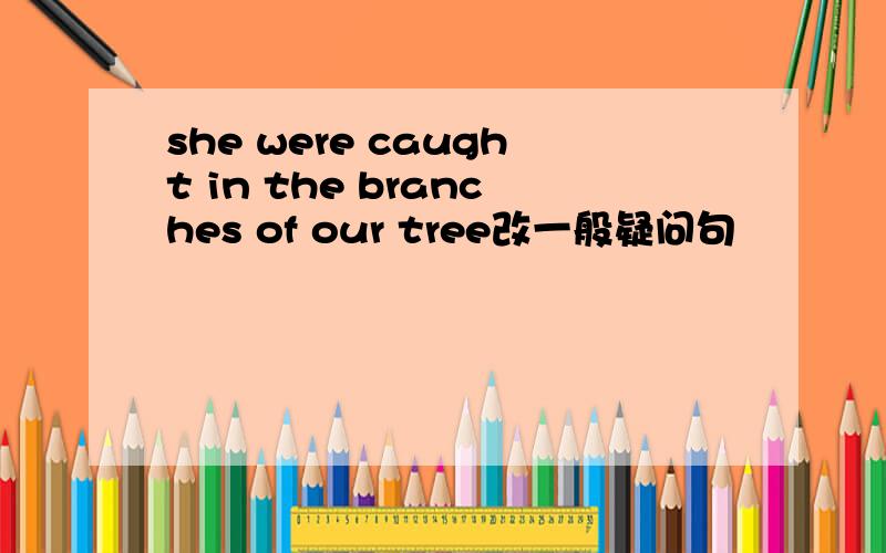 she were caught in the branches of our tree改一般疑问句