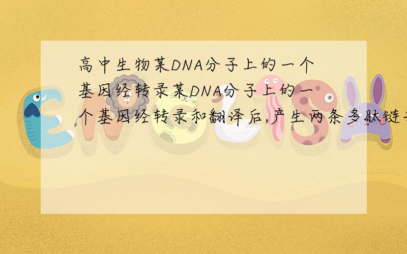 高中生物某DNA分子上的一个基因经转录某DNA分子上的一个基因经转录和翻译后,产生两条多肽链共含肽键1999个,则该基因所含的碱基数(A)A,12006B,11994C,5997D,6003