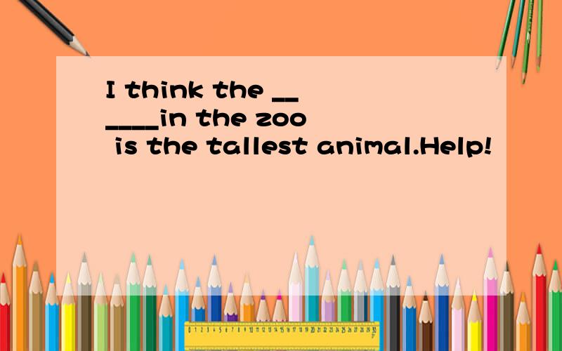 I think the ______in the zoo is the tallest animal.Help!