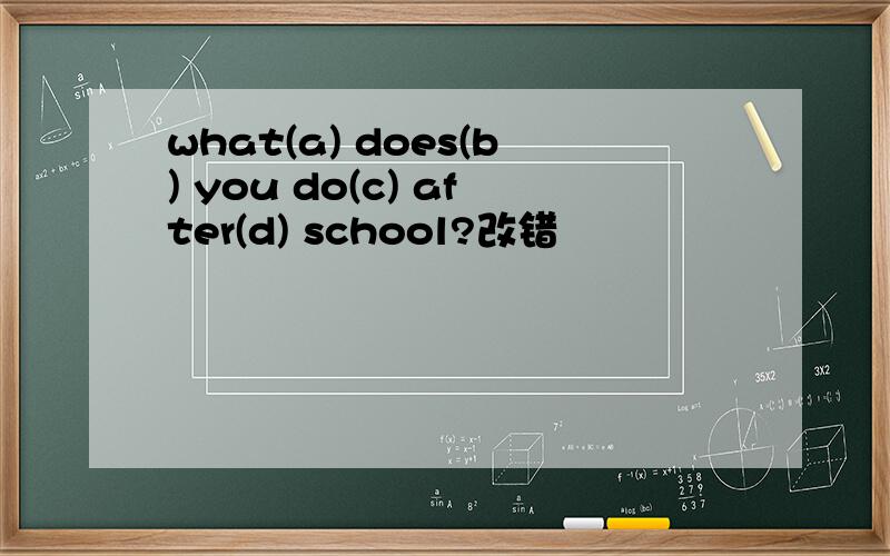 what(a) does(b) you do(c) after(d) school?改错