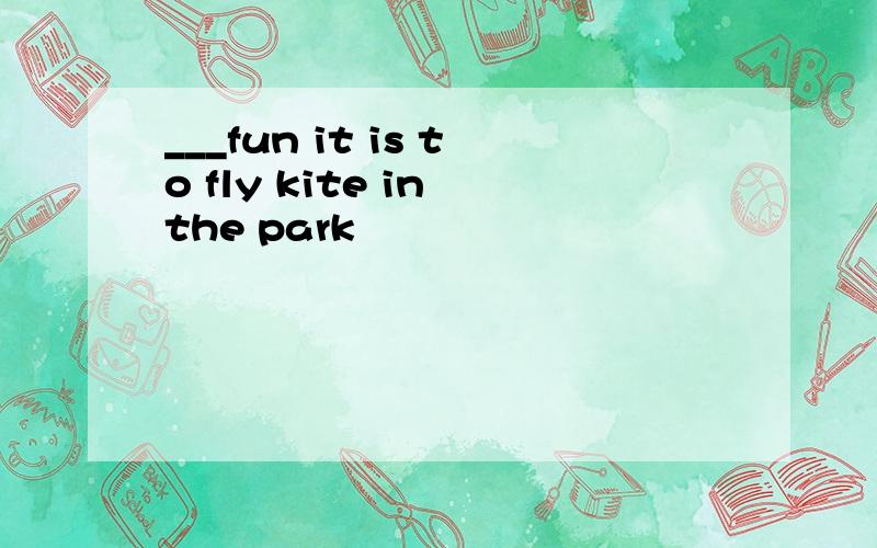 ___fun it is to fly kite in the park