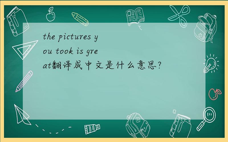 the pictures you took is great翻译成中文是什么意思?