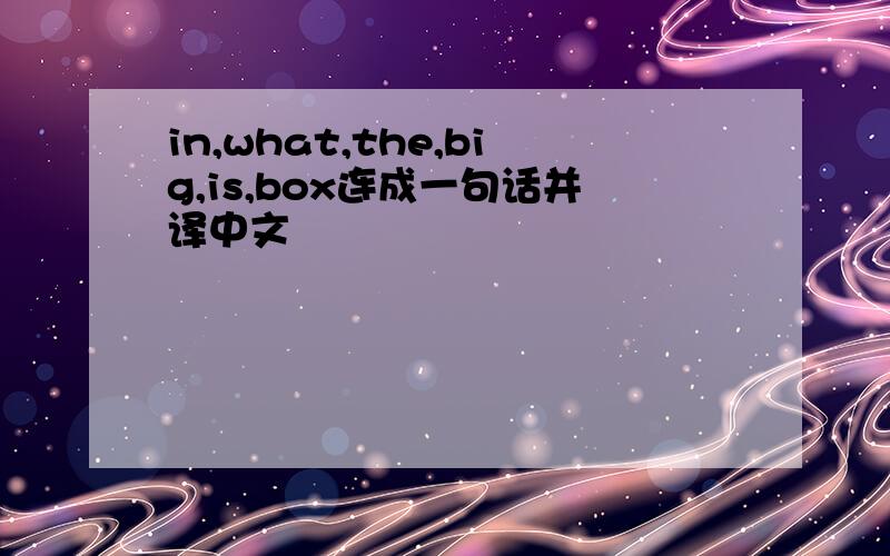 in,what,the,big,is,box连成一句话并译中文