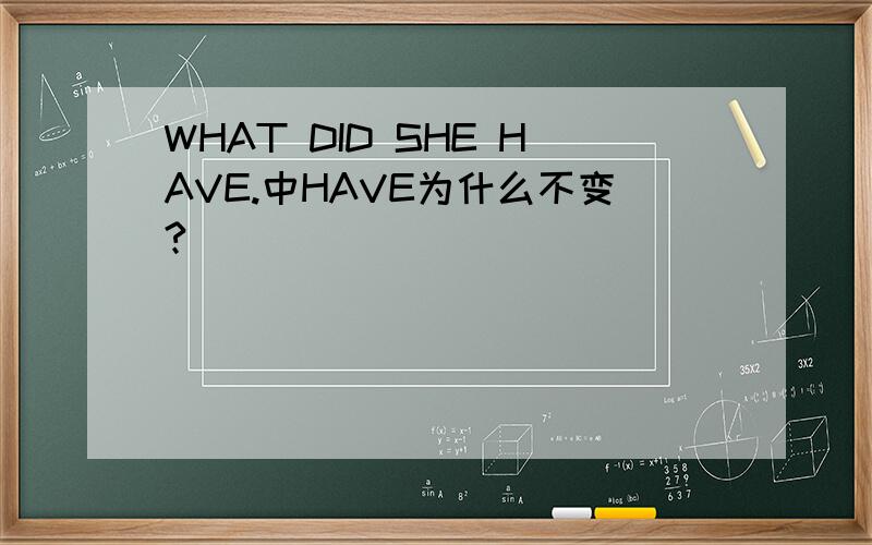 WHAT DID SHE HAVE.中HAVE为什么不变?